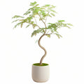 Arbre artificiel 180 cm feuillage vert en plastique décoratif avec pot style naturel