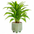 Plante verte artificielle Dracaena 120 cm en plastique vert avec pot en céramique décoratif