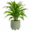 Plante verte artificielle Dracaena 120 cm en plastique vert avec pot en céramique décoratif