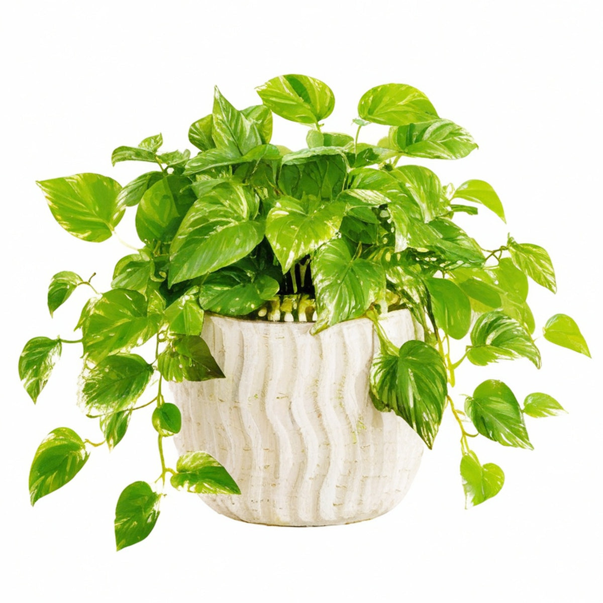 Plante artificielle pothos 45 cm feuillage vert jaune en pot céramique décoratif
