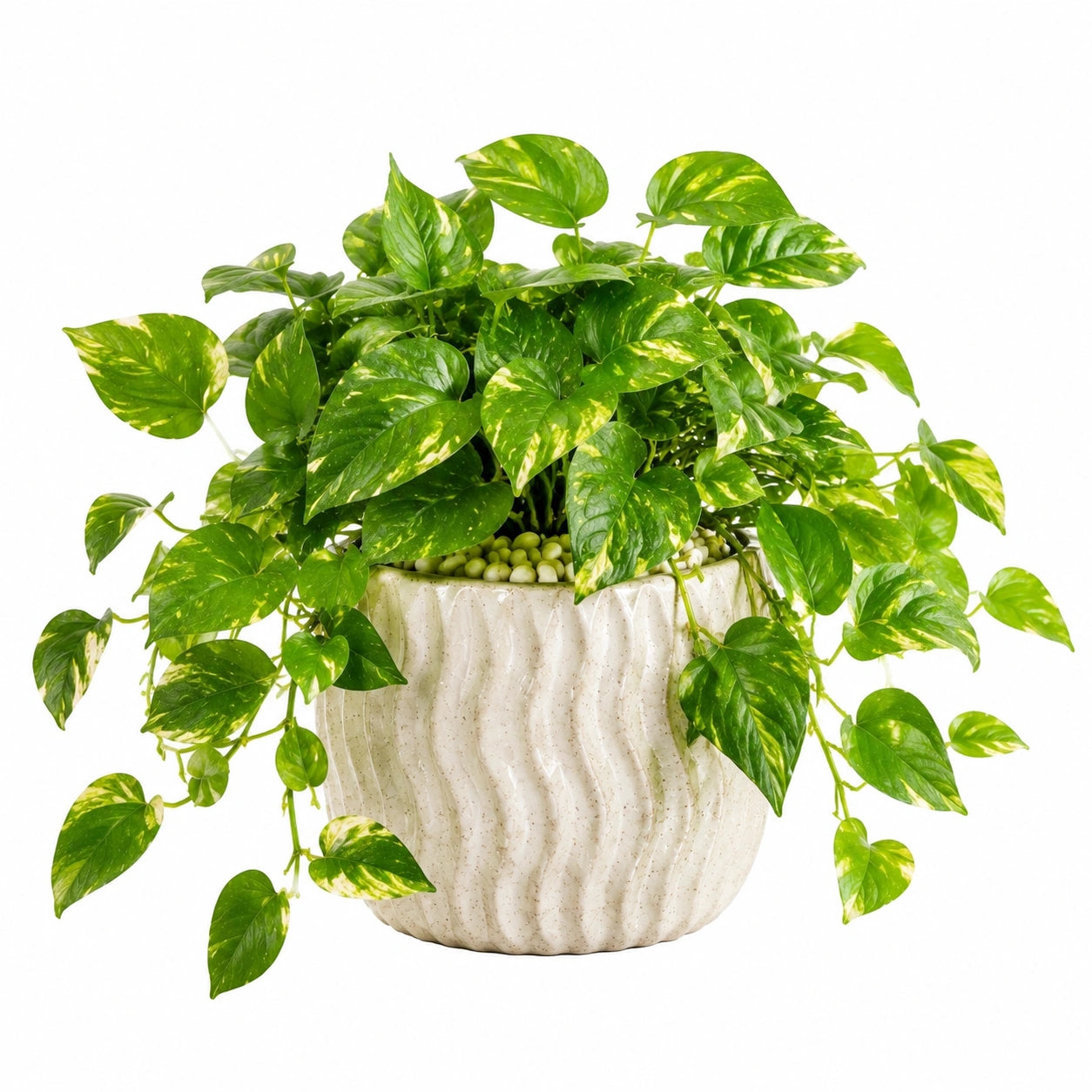 Plante artificielle pothos 45 cm feuillage vert jaune en pot céramique décoratif