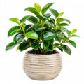 Plante artificielle en pot 55 cm feuillage vert en plastique décorative