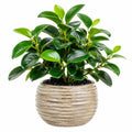 Plante artificielle en pot 55 cm feuillage vert en plastique décorative