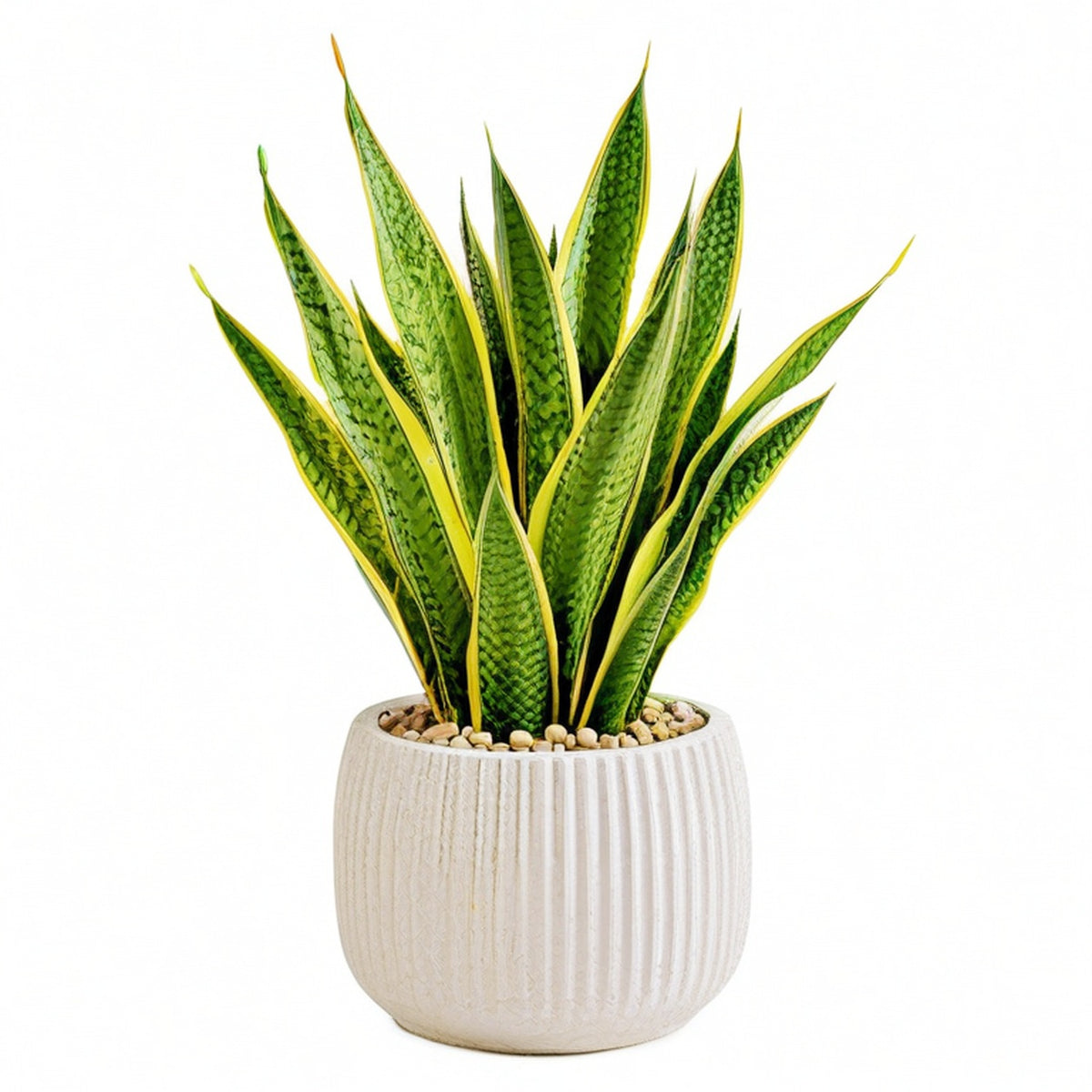 Plante artificielle sansevière 85 cm en plastique vert et jaune avec pot en ciment style contemporain