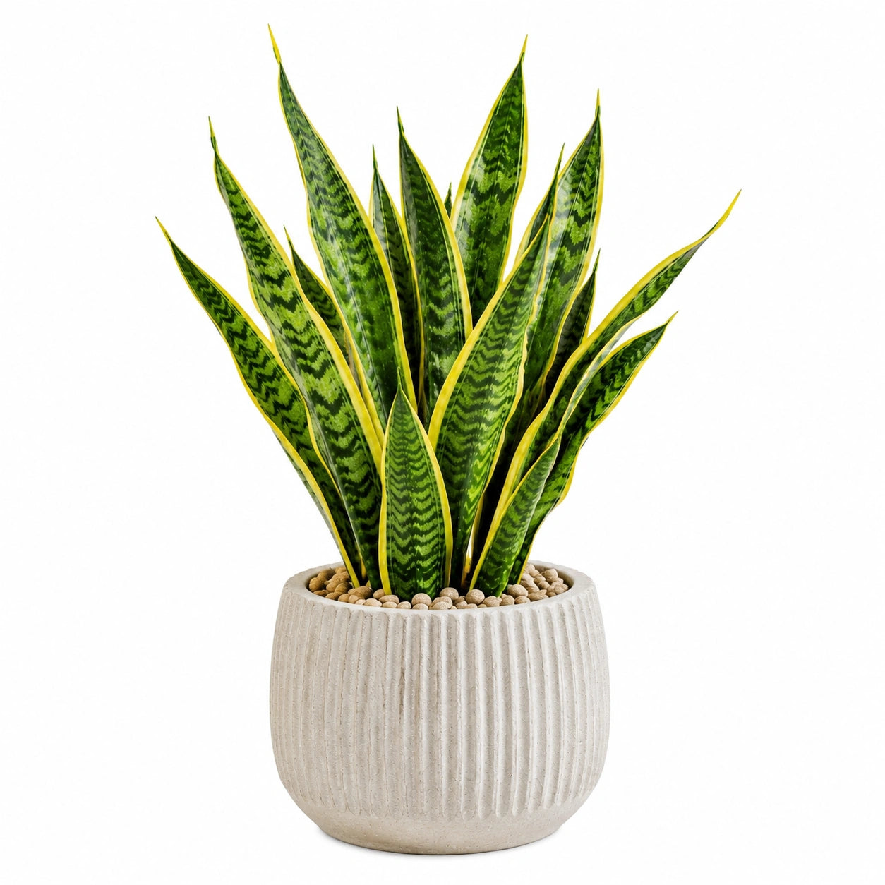 Plante artificielle sansevière 85 cm en plastique vert et jaune avec pot en ciment style contemporain